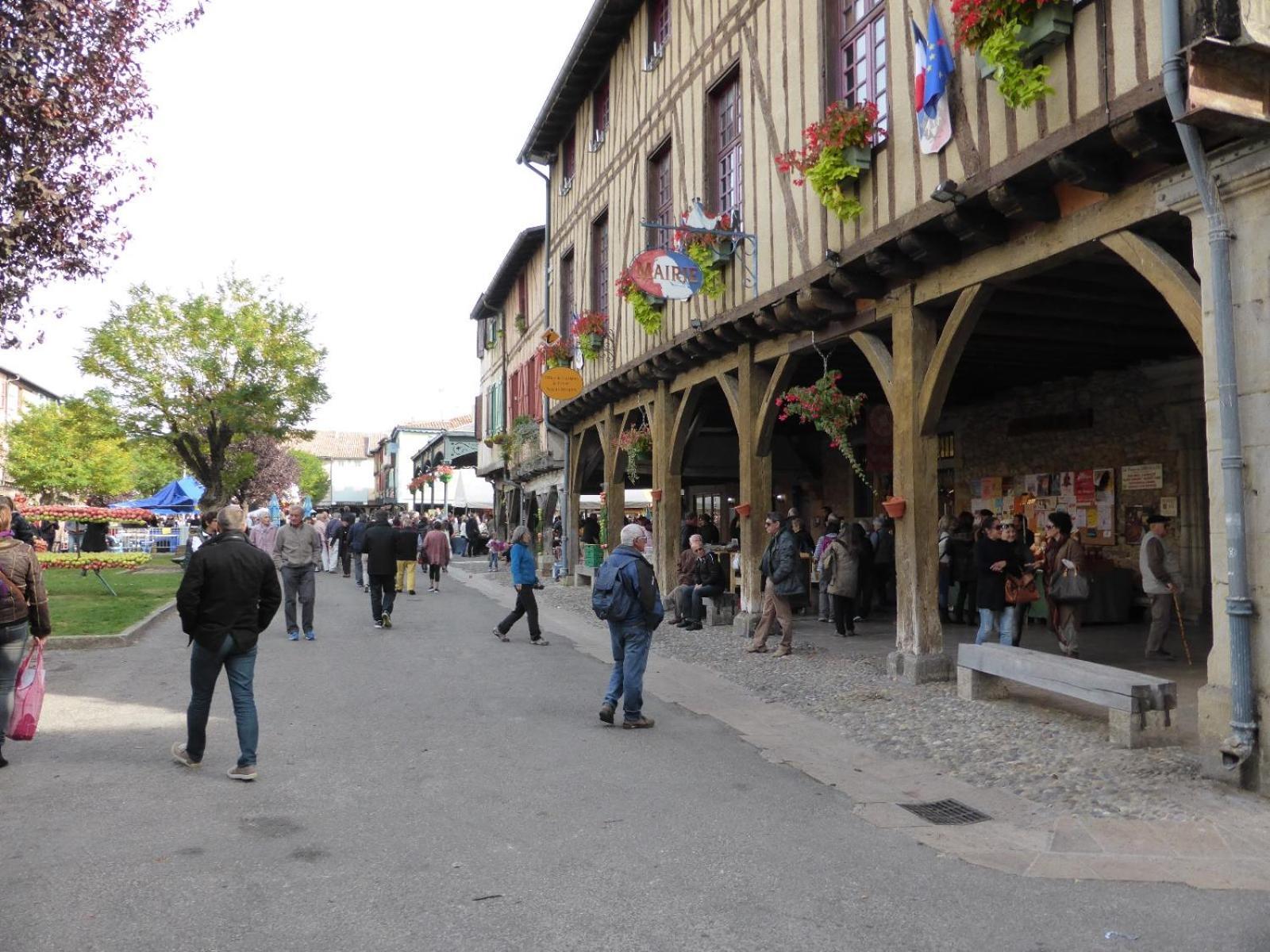 Gite De La Bastide - Typique De Mirepoix Mirepoix  Exterior photo